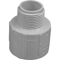 LASCO 436132BC Pipe Adapter, 1-1/4 x 1 in, Slip x MIP, PVC, SCH 40 Schedule