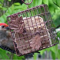 HEATH 2304 Suet Feeder, Metal