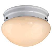 Westinghouse 6107100 Ceiling Light Fixture, 120 V, 1-Lamp, LED Lamp, 750 Lumens Lumens, 3000 K Color Temp